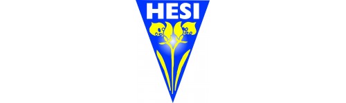 Hesi1