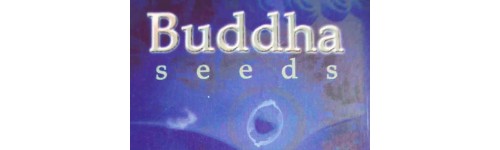 Buddha Seed Bank